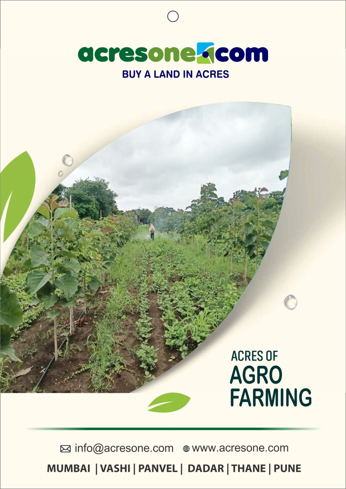 WhatsApp Image 2025-07-30 at 12.04.52 PM (2)