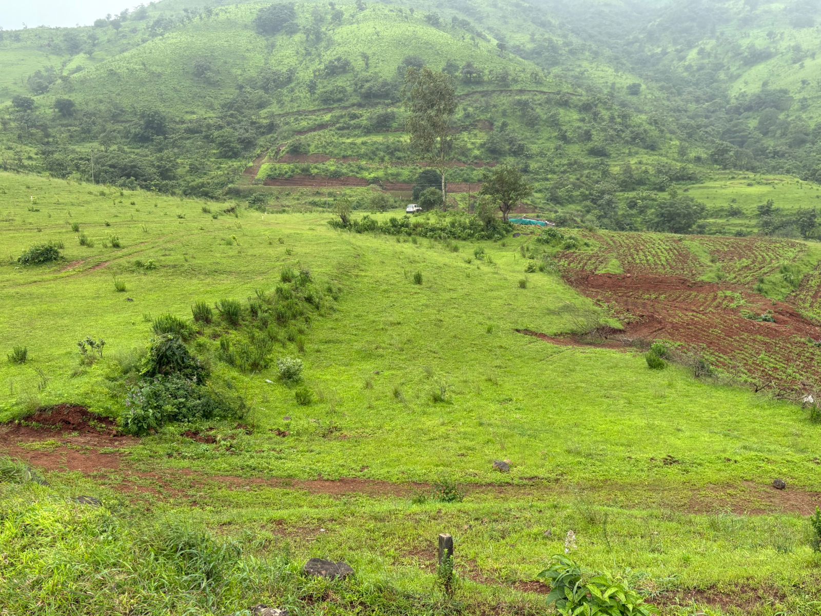 WhatsApp Image 2025-08-10 at 12.57.54 PM (1)