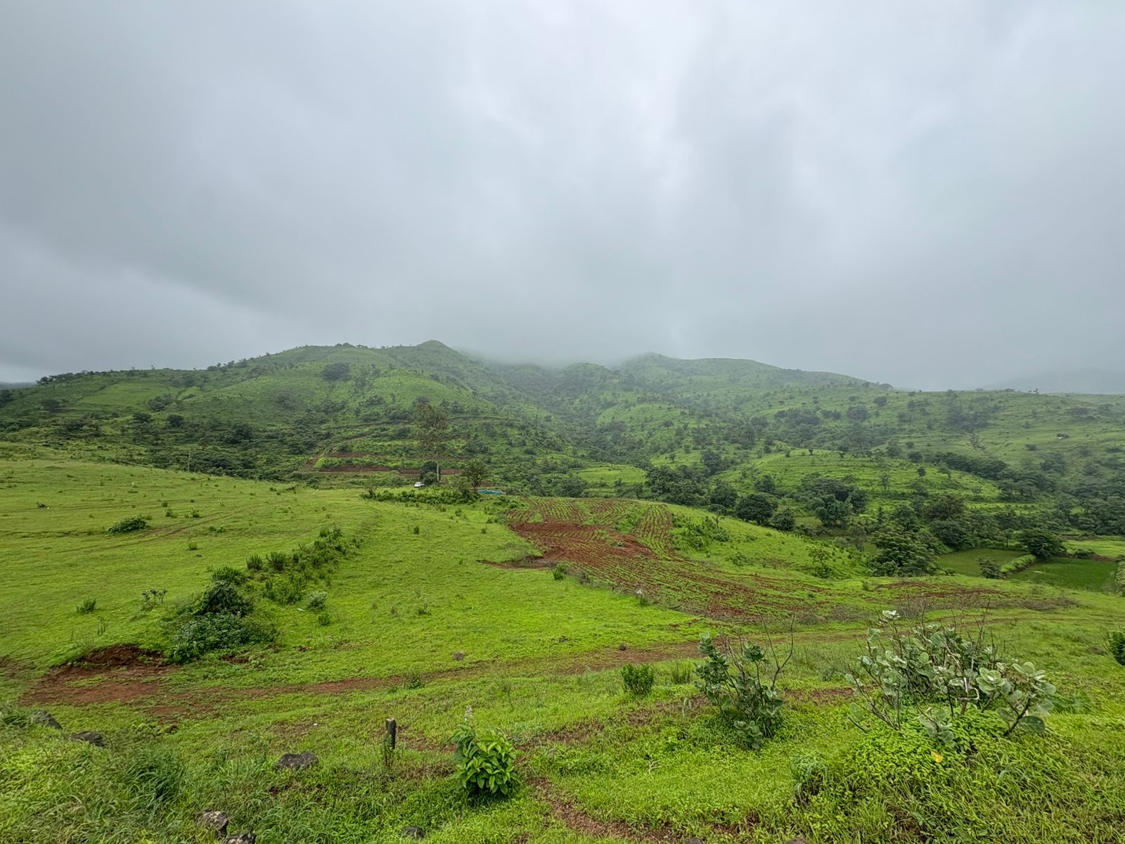 WhatsApp Image 2025-08-10 at 12.57.54 PM (2)