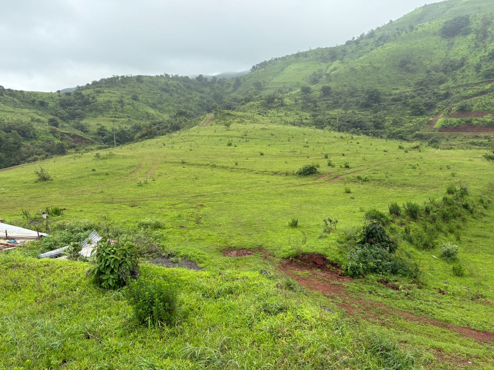 WhatsApp Image 2025-08-10 at 12.57.54 PM