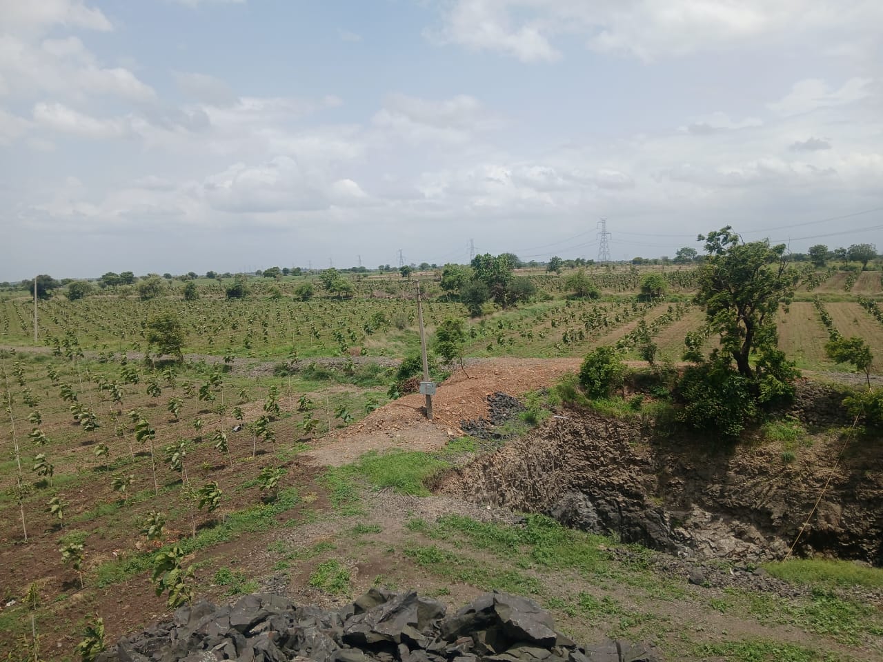 WhatsApp Image 2025-08-03 at 4.38.21 PM