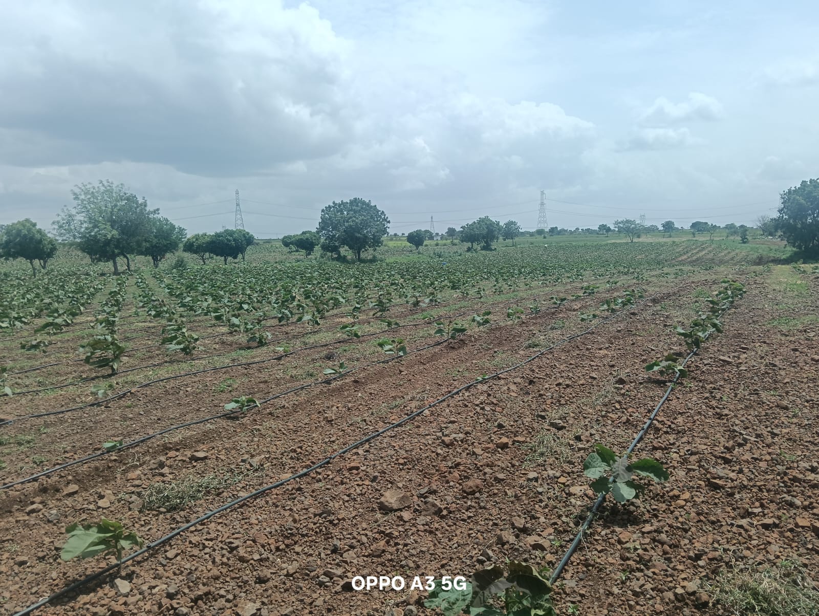 WhatsApp Image 2025-08-03 at 4.38.24 PM