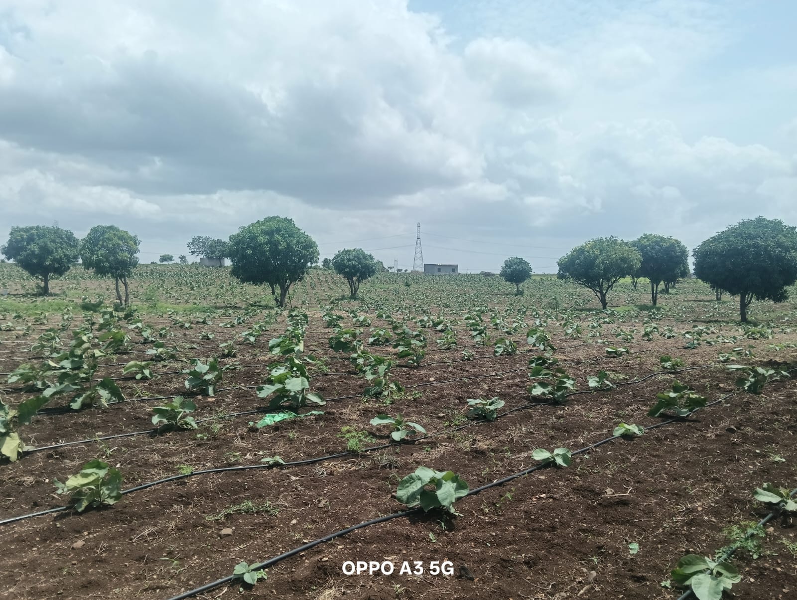 WhatsApp Image 2025-08-03 at 4.38.26 PM (2)