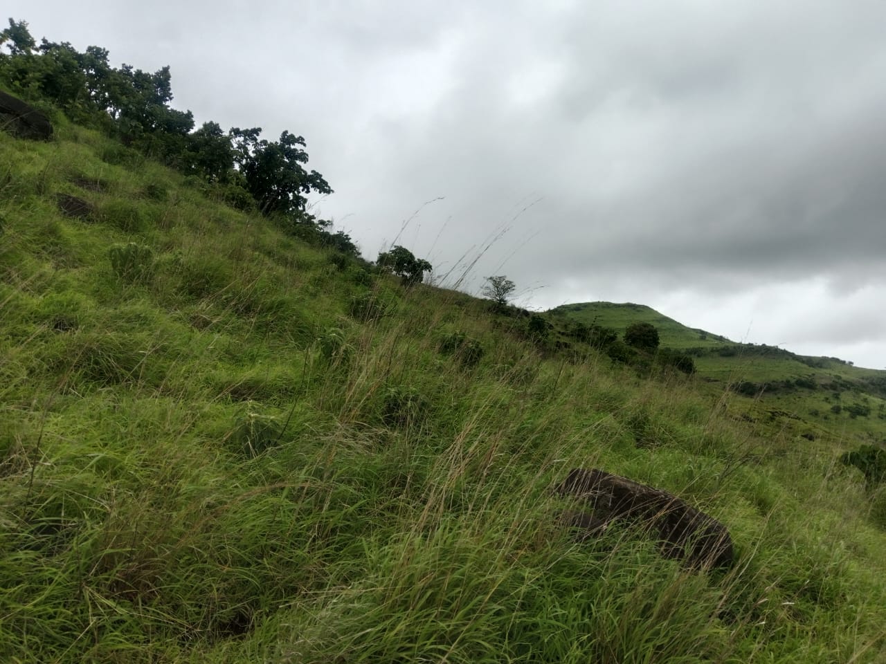 WhatsApp Image 2025-08-10 at 12.58.43 PM (1)