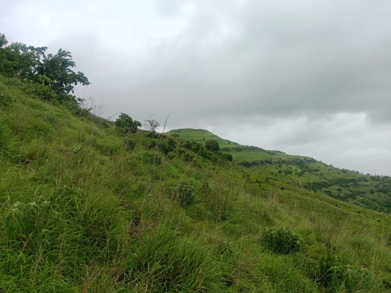 WhatsApp Image 2025-08-10 at 12.58.43 PM