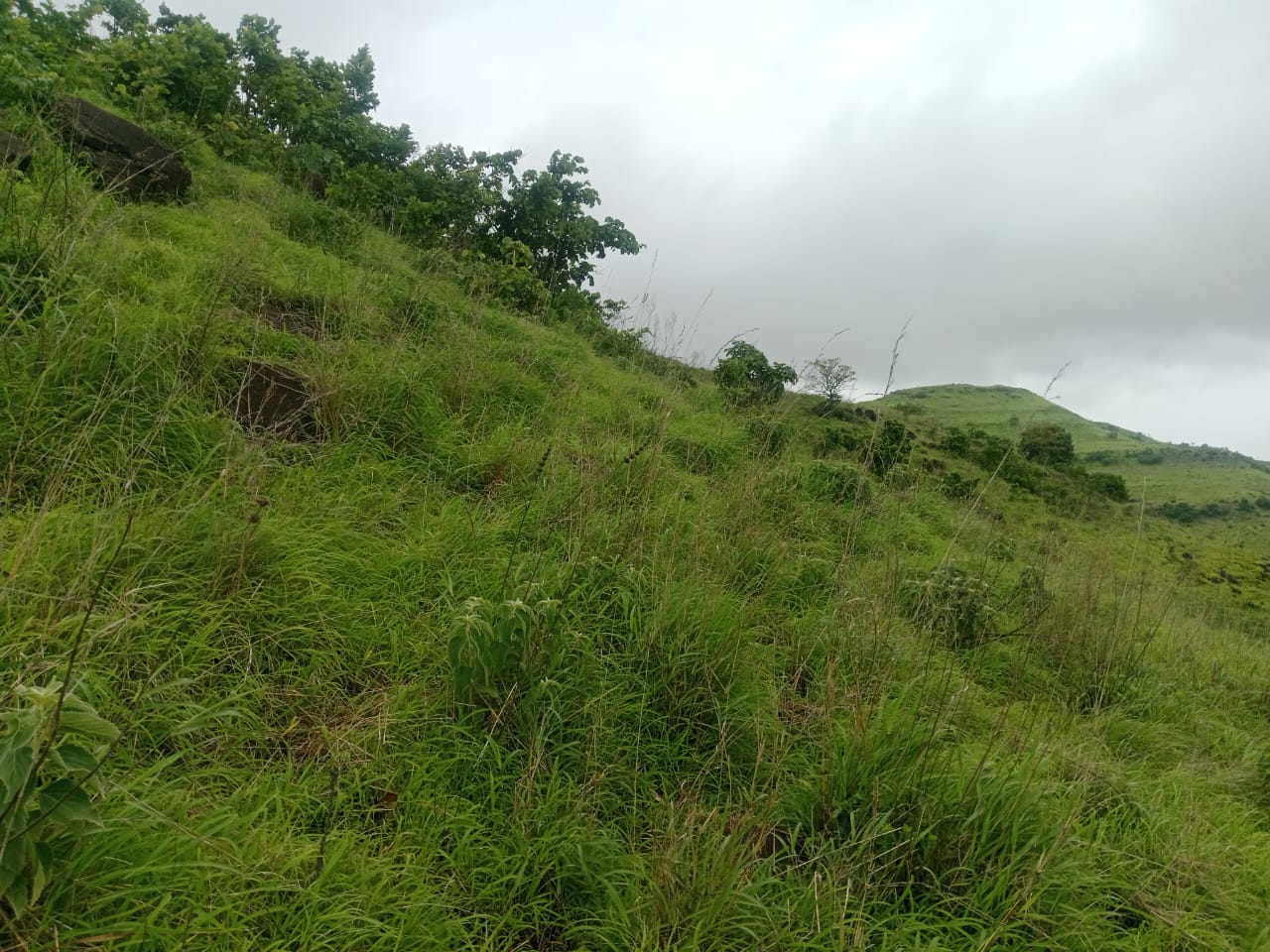 WhatsApp Image 2025-08-10 at 12.58.44 PM (1)