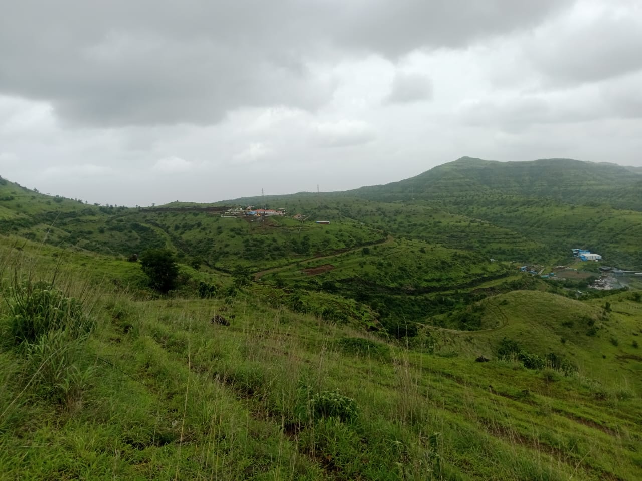 WhatsApp Image 2025-08-10 at 12.58.44 PM