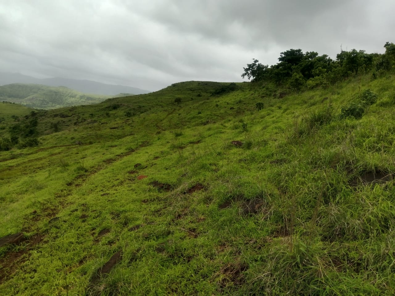 WhatsApp Image 2025-08-10 at 12.58.45 PM (1)