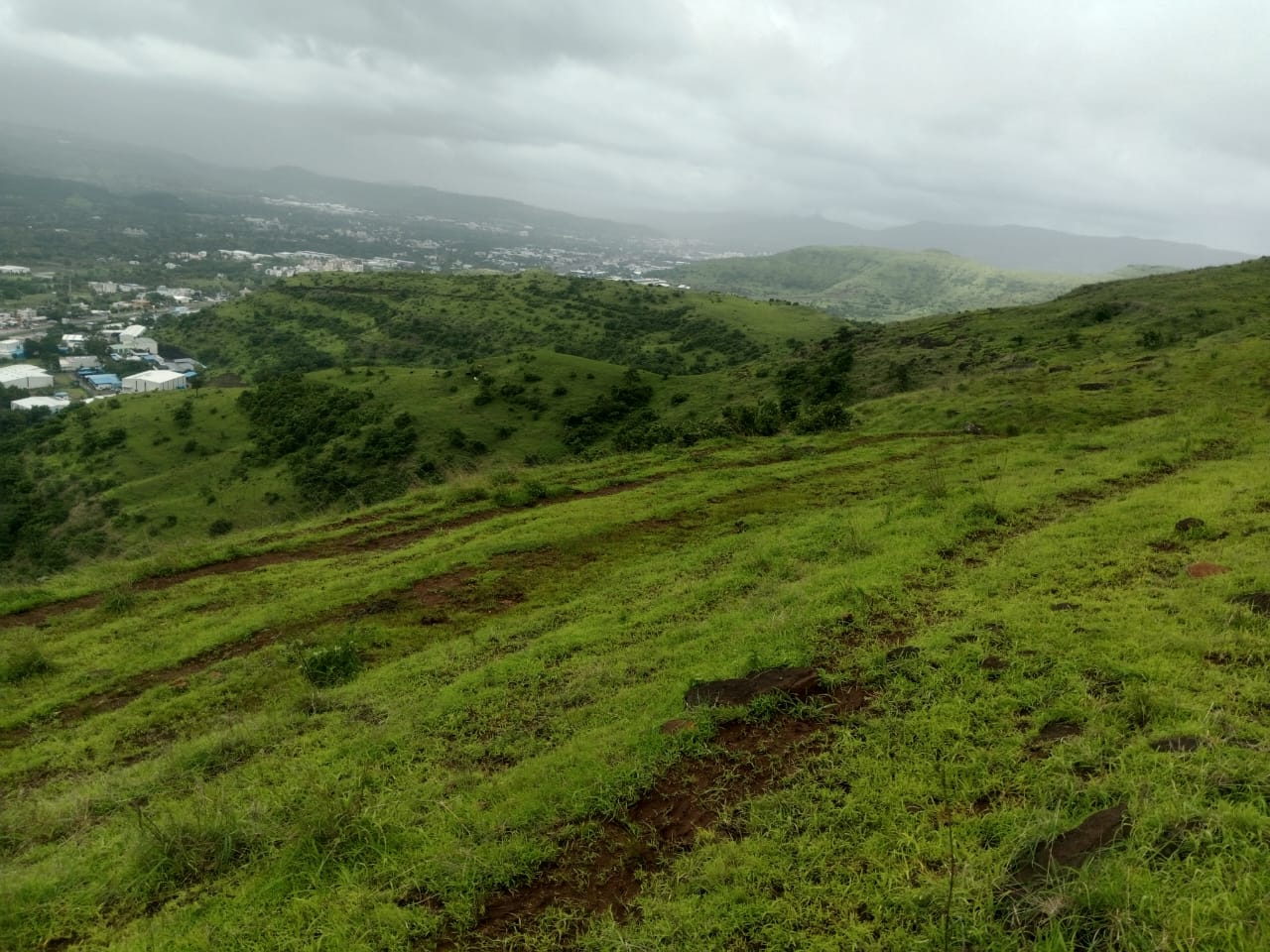 WhatsApp Image 2025-08-10 at 12.58.45 PM