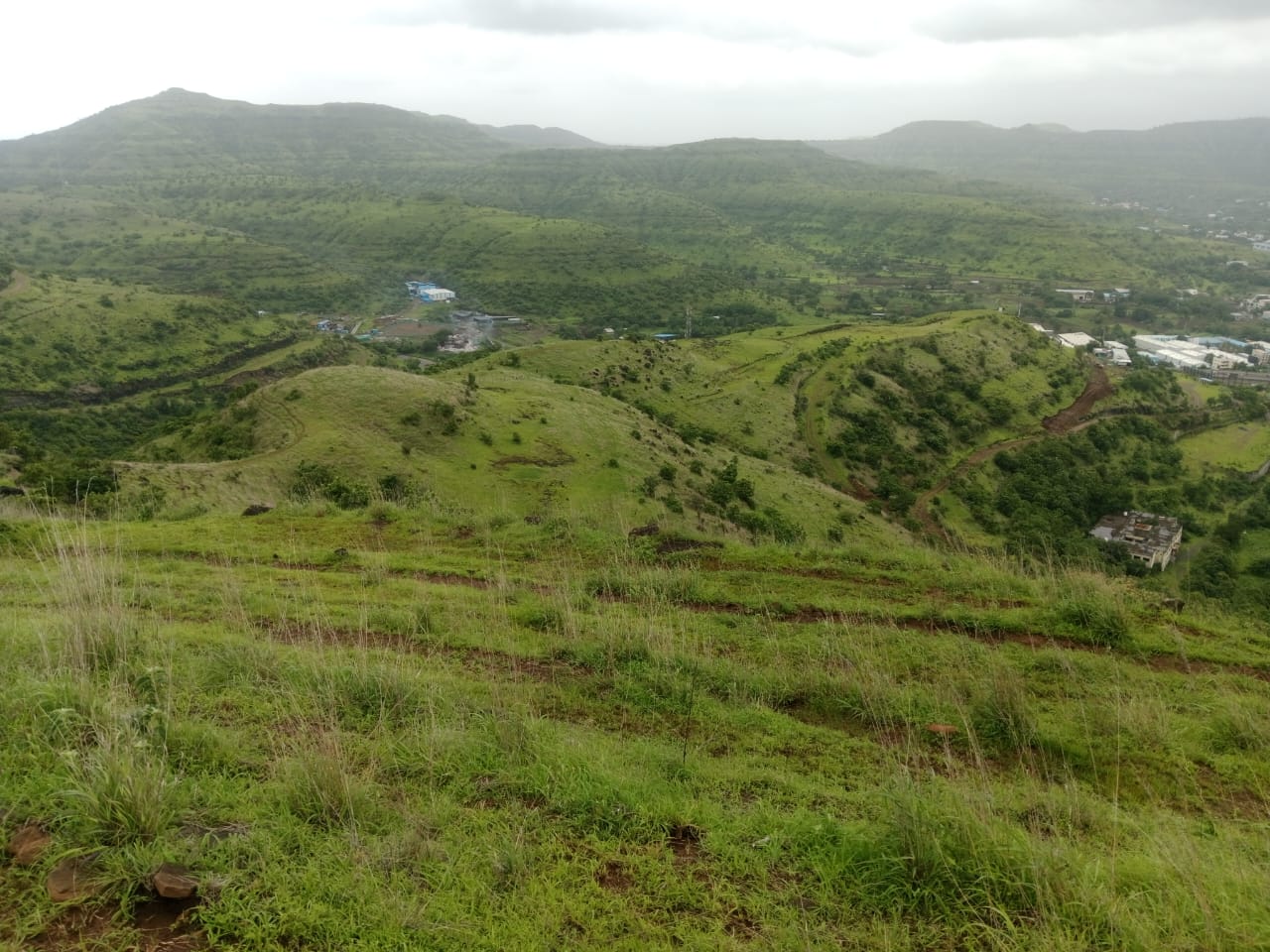 WhatsApp Image 2025-08-10 at 12.58.46 PM